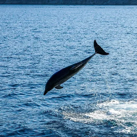 Villa-panorama Apartamento *