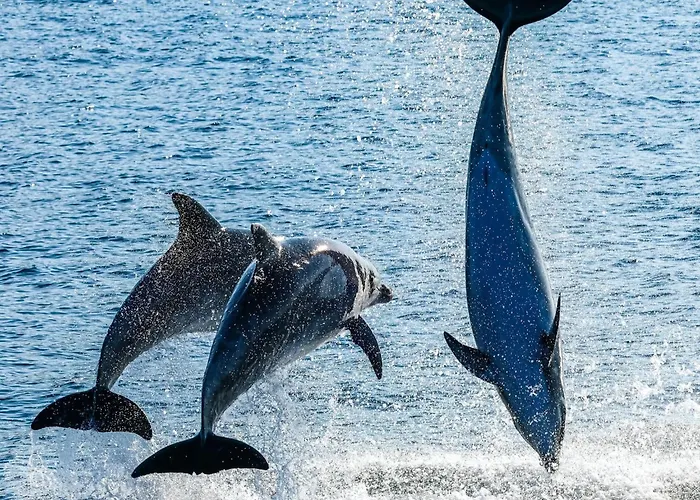 Villa-panorama Apartment Drage